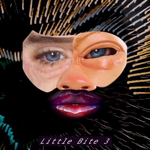 DJ Baja Blast Little Bite 3 Sample Pack Cover
