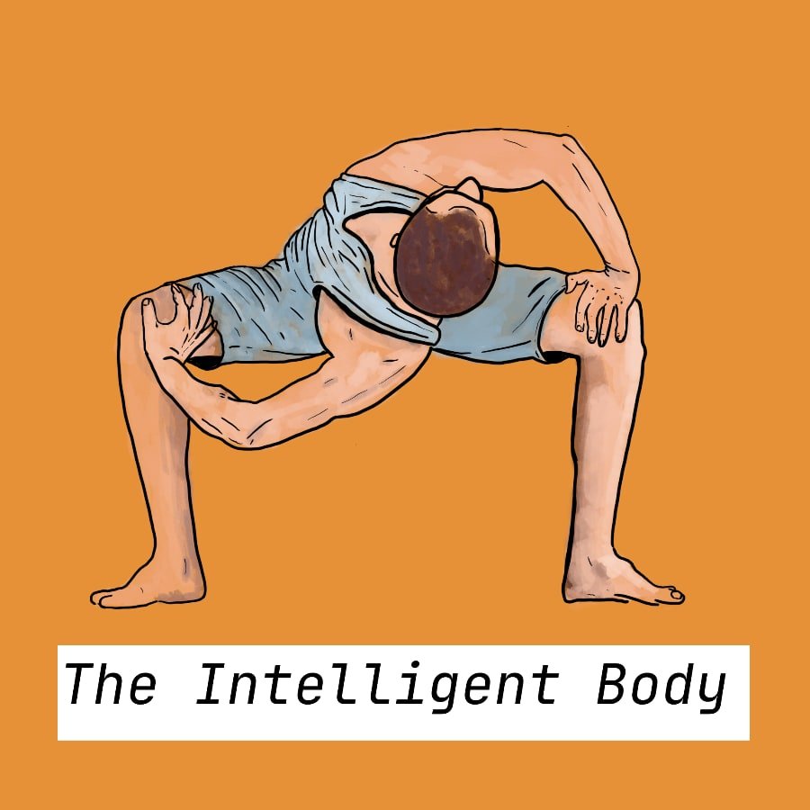 intelligent body tapes sample pack cover art